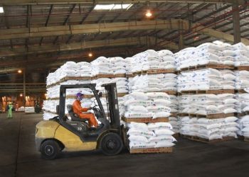 Tuổi 18 PVFCCo: Mùa hoa đẹp nhất!