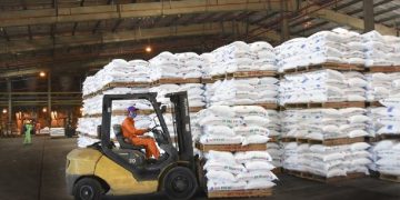 Tuổi 18 PVFCCo: Mùa hoa đẹp nhất!