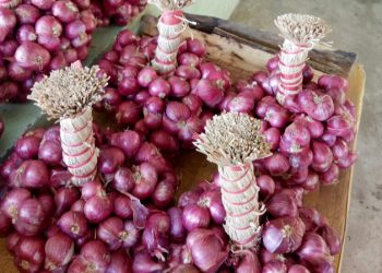 Đưa vải thiều, hành tím lên chợ điện tử