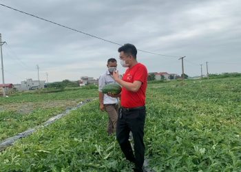 SÁNG KIẾN GIẢI CỨU DƯA HẤU THÀNH NƯỚC ÉP SINH TỐ BỔ SUNG NĂNG LƯỢNG CHO “CHIẾN SĨ ÁO TRẮNG CHỐNG DỊCH COVID” TẠI BẮC GIANG