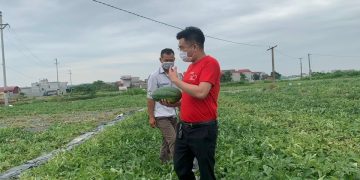 SÁNG KIẾN GIẢI CỨU DƯA HẤU THÀNH NƯỚC ÉP SINH TỐ BỔ SUNG NĂNG LƯỢNG CHO “CHIẾN SĨ ÁO TRẮNG CHỐNG DỊCH COVID” TẠI BẮC GIANG