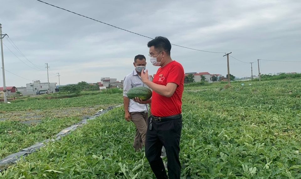 SÁNG KIẾN GIẢI CỨU DƯA HẤU THÀNH NƯỚC ÉP SINH TỐ BỔ SUNG NĂNG LƯỢNG CHO “CHIẾN SĨ ÁO TRẮNG CHỐNG DỊCH COVID” TẠI BẮC GIANG