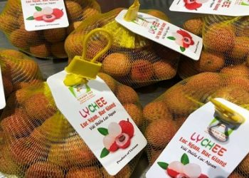 Bắc Giang: Vụ vải thiều thành công bất kể dịch COVID-19 hoành hành