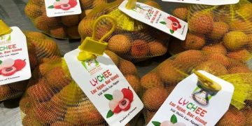 Bắc Giang: Vụ vải thiều thành công bất kể dịch COVID-19 hoành hành