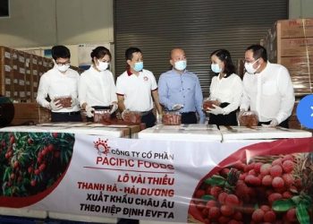 Vải thiều Việt Nam ‘lên đường’ sang châu Âu