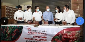 Vải thiều Việt Nam ‘lên đường’ sang châu Âu