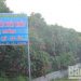 Bắc Giang: Vụ vải thiều sớm thắng lợi ngay trong ‘mùa dịch COVID-19’