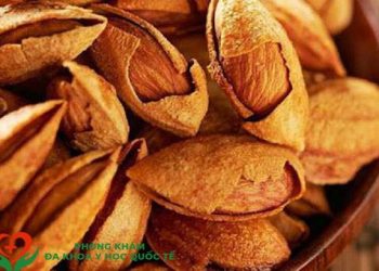 Hạt hạnh nhân bao nhiêu calo và ăn có béo không?