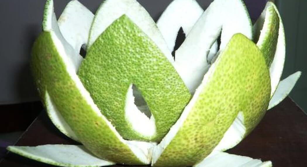 Top 7 bài thuốc giảm mỡ máu bằng vỏ bưởi ngay tại nhà hiệu quả nhất hiện nay