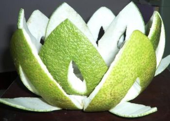 Top 7 bài thuốc giảm mỡ máu bằng vỏ bưởi ngay tại nhà hiệu quả nhất hiện nay