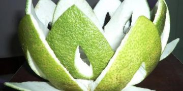 Top 7 bài thuốc giảm mỡ máu bằng vỏ bưởi ngay tại nhà hiệu quả nhất hiện nay