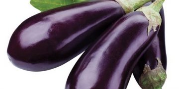 Bật mí cách làm sạch máu trong cơ thể của người Nhật