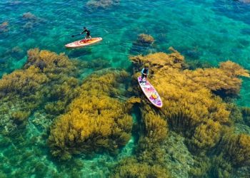 Du lịch Quy Nhơn tăng vọt