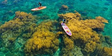 Du lịch Quy Nhơn tăng vọt