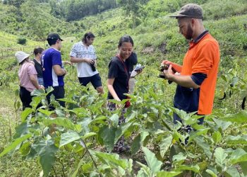 KHỞI NGHIỆP CÙNG LIFE FARMSTAY CỘI NGUỒN YÊU THƯƠNG – NƠI ĐỂ CÁC BẠN TRẺ TRỞ VỀ