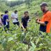 KHỞI NGHIỆP CÙNG LIFE FARMSTAY CỘI NGUỒN YÊU THƯƠNG – NƠI ĐỂ CÁC BẠN TRẺ TRỞ VỀ