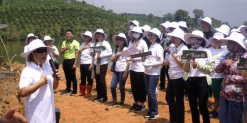 “CỘNG ĐỒNG BẦU TRỜI BÊN TRONG” TỔ CHỨC TRỒNG 7000 CÂY THÔNG TẠI TỈNH GIA LAI