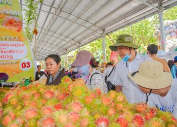 LỄ HỘI TRÁI CÂY NAM BỘ – SUOI TIEN FARM FESTIVAL 2023