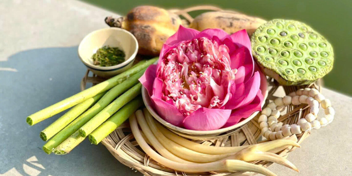 Khu vườn Gia Vị là một mô hình ẩm thực mang ước mơ của hai cô trò chuyên gia ẩm thực Việt – “huyền thoại Bếp Việt” Nguyễn Dzoãn Cẩm Vân và chuyên gia ẩm thực Nguyễn Đăng Phương – đã ấp ủ thực hiện từ hơn 10 năm trước: một mô hình giới thiệu văn hoá ẩm thực đặc trưng quốc hồn quốc tuý Việt Nam trong một không gian vườn organic hữu cơ đậm chất thơ