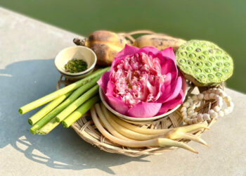 Khu vườn Gia Vị là một mô hình ẩm thực mang ước mơ của hai cô trò chuyên gia ẩm thực Việt – “huyền thoại Bếp Việt” Nguyễn Dzoãn Cẩm Vân và chuyên gia ẩm thực Nguyễn Đăng Phương – đã ấp ủ thực hiện từ hơn 10 năm trước: một mô hình giới thiệu văn hoá ẩm thực đặc trưng quốc hồn quốc tuý Việt Nam trong một không gian vườn organic hữu cơ đậm chất thơ