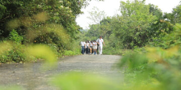 Radisson RED Đà Nẵng và GreenViet hợp tác bảo tồn đa dạng sinh học tại thành phố Đà Nẵng