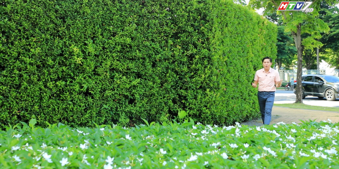 THOÁI HÓA KHỚP – “ĐẠI DỊCH ÂM THẦM” TOÀN CẦU