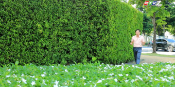 THOÁI HÓA KHỚP – “ĐẠI DỊCH ÂM THẦM” TOÀN CẦU