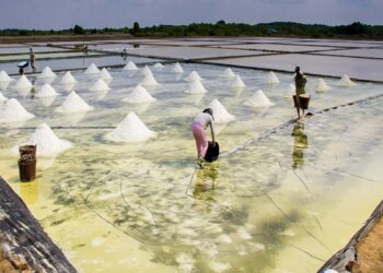 CUỘC THI VIẾT VỀ NGHỀ, LÀNG NGHỀ TRUYỀN THỐNG TP.HCM NĂM 2025