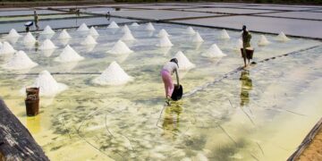 CUỘC THI VIẾT VỀ NGHỀ, LÀNG NGHỀ TRUYỀN THỐNG TP.HCM NĂM 2025