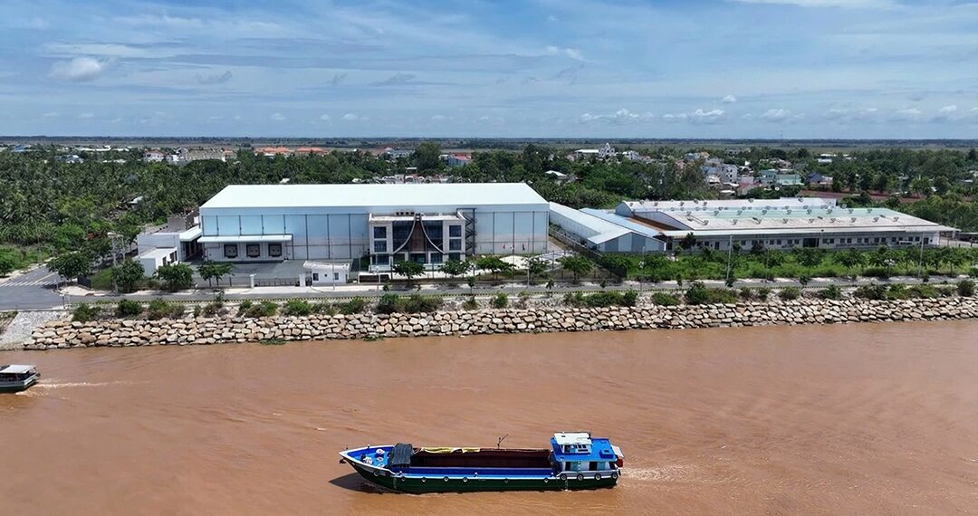 Xu hướng thị trường đồ uống và nhu cầu nguyên liệu nhiệt đới