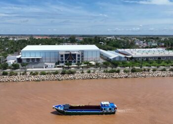 Xu hướng thị trường đồ uống và nhu cầu nguyên liệu nhiệt đới