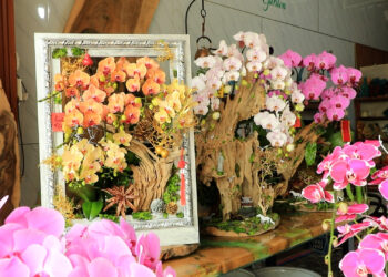 LAN NGHỆ THUẬT – HƠI THỞ MỚI CỦA THỊ TRƯỜNG HOA TẾT