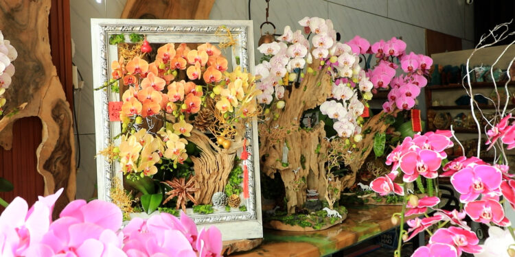 LAN NGHỆ THUẬT – HƠI THỞ MỚI CỦA THỊ TRƯỜNG HOA TẾT